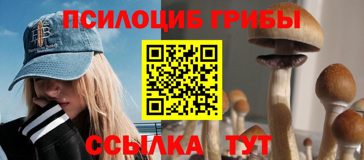 Галлюциногенные грибы MAGIC MUSHROOMS Бийск